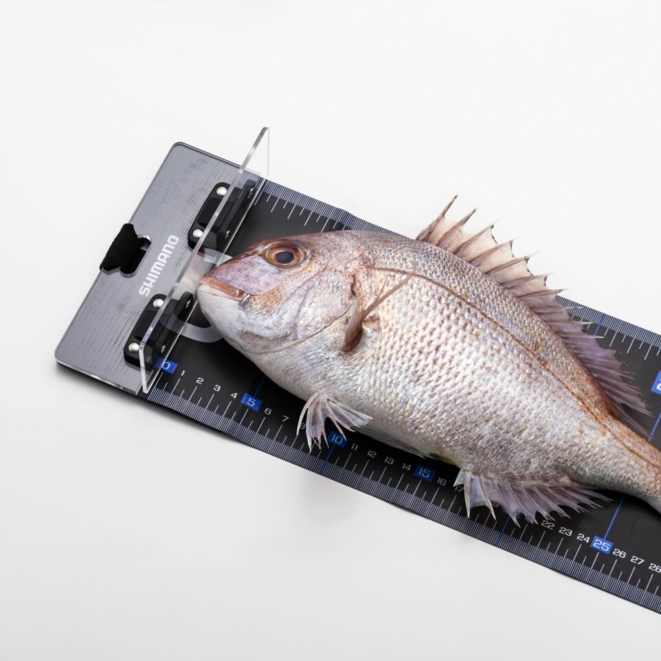 26 UL-802Z 寬版魚尺 | 163752