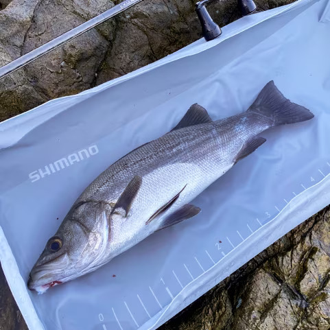25 BA-027Y輕便折疊魚池