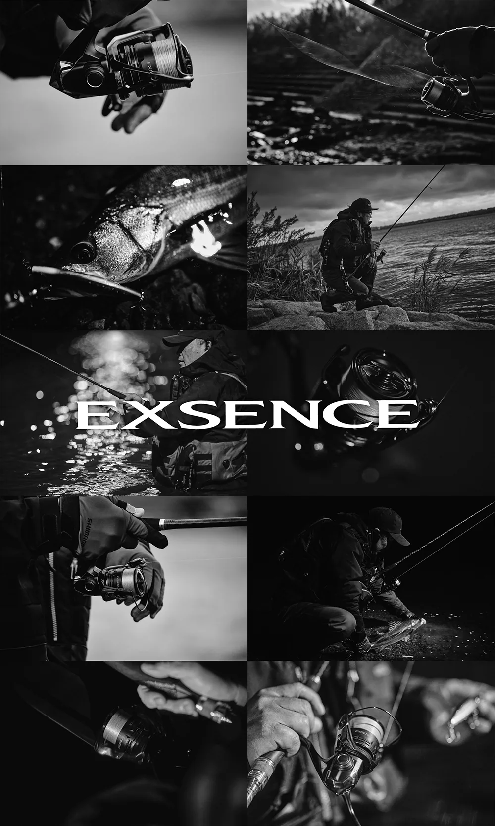25 EXSENCE  048219