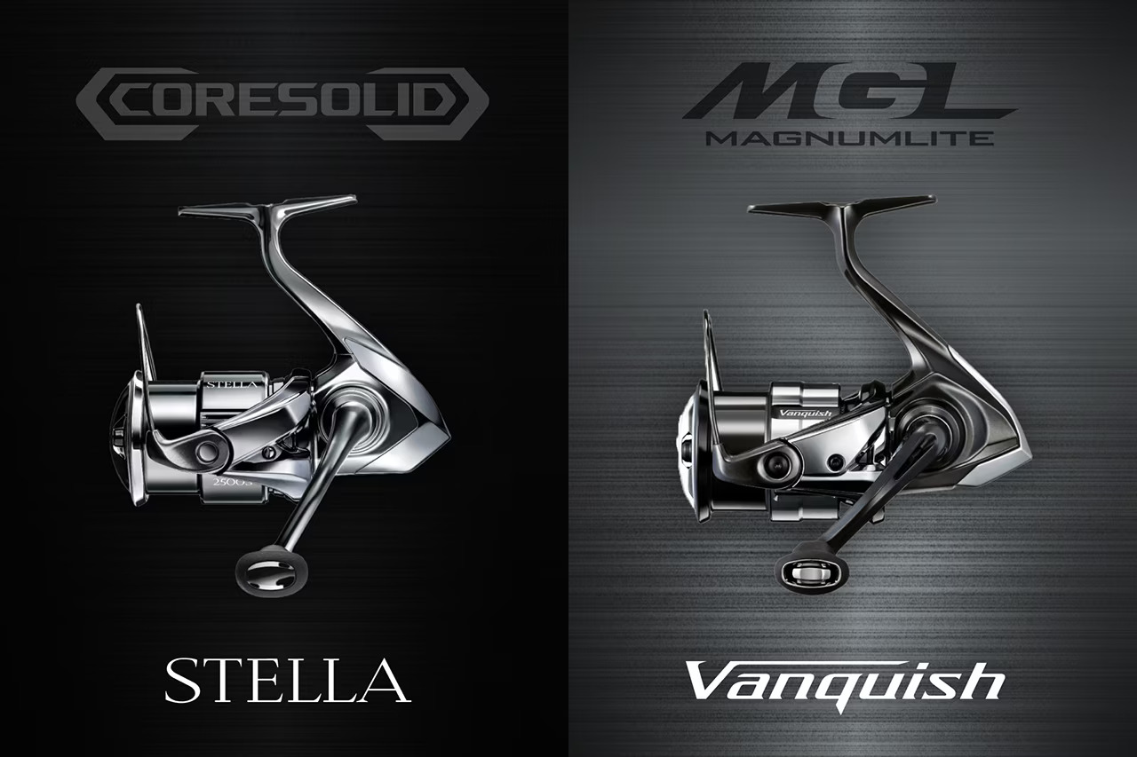 23 BB-X DESPINA  049247