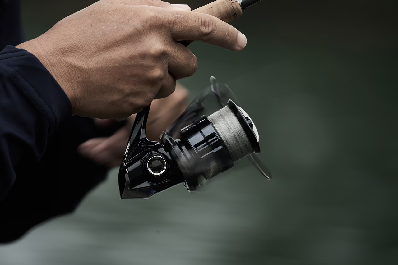 23 BB-X DESPINA  049247