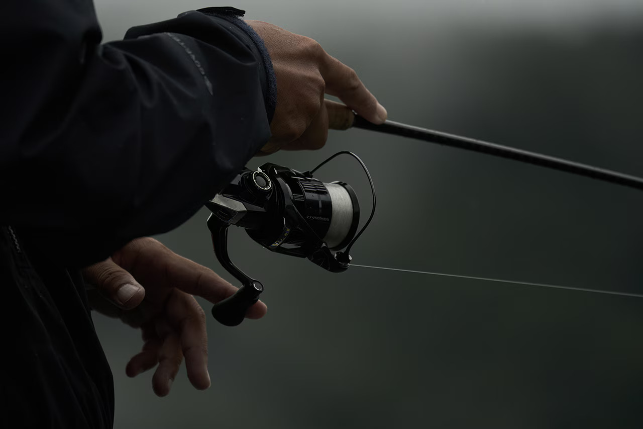 23 BB-X DESPINA  049247