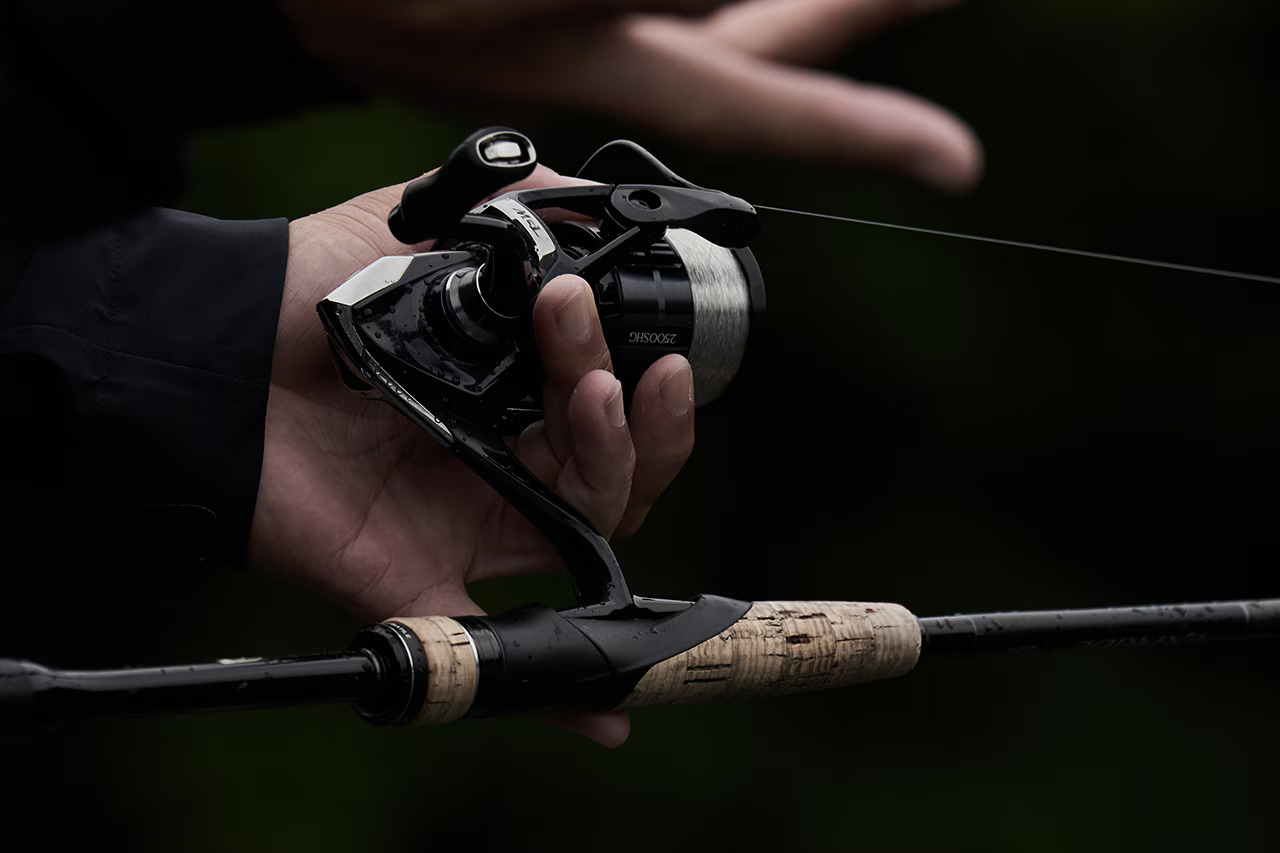 23 BB-X DESPINA  049247