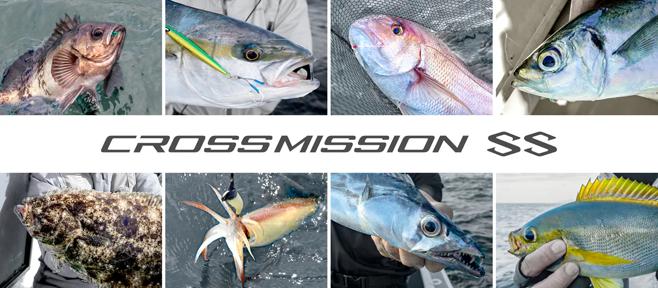 26 CROSSMISSION SS 276360 | 前打