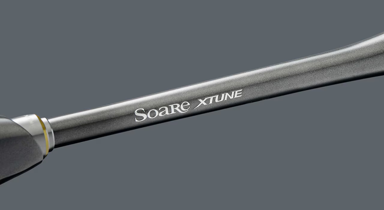 26 Soare XTUNE 278449 | 前打